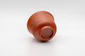 Japanese Teacup - Tokoname-yaki Senchawan - 100ml - tilted view showing the side and base