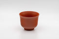 Japanese Teacup - Tokoname-yaki Senchawan - 100ml - front view of the cup