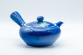Tezumi — Japanese Kyusu - Momiji Hiramaru-gata Porcelain Debeso Teapot - 300ml — side view showing the spout