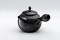 Japanese Kyusu - Tadaomi Kato, Koushin Kiln - Kurodei Tokoname-yaki Debeso Teapot - 250ml - front view of the textured black teapot