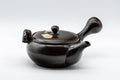 Japanese Kyusu - Black Kokudei Owl Sculpted Tokoname-yaki Teapot - 350ml - Tezumi