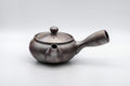 Tezumi — Japanese Kyusu - 阿久津 Banko-yaki Nozomi-style Teapot - 330ml — three-quarter view from the opposite side