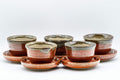Japanese Tea Set - Drip-Glazed Debeso Kyusu with 5 Yunomi and Chataku - Tezumi