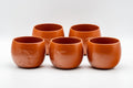 Tezumi — Japanese Tea Set - Tokoname-yaki Nasu-gata Debeso Kyusu with 5 Yunomi - 300ml — the teapot and cups arranged together
