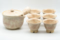 Tezumi — Japanese Tea Set - 萩焼 Hagi-yaki Houhin-style Do-ake Kyusu with 6 Senchawan - 450ml — the full set arranged together