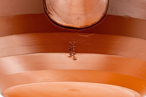 Japanese Kyusu - 昇龍 Tokoname-yaki Debeso Teapot - 270ml - Tezumi