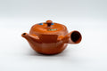 Japanese Kyusu - 伊勢窯 Floral Tokoname-yaki Teapot - 350ml - side view of the teapot