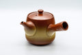 Japanese Kyusu - Plum Blossom Tokoname-yaki Teapot - 325ml - Tezumi