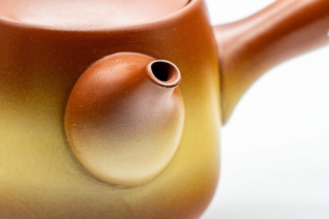 Japanese Kyusu - Plum Blossom Tokoname-yaki Teapot - 325ml - Tezumi