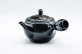Japanese Kyusu - 盛山窯 Year of the Tiger, Black Kurodei Tokoname-yaki Teapot - 380ml - Tezumi