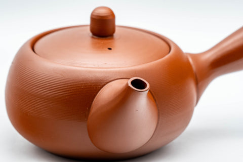 Japanese Kyusu - 常滑焼 Plum Blossom Tokoname-yaki Debeso Teapot - 350ml