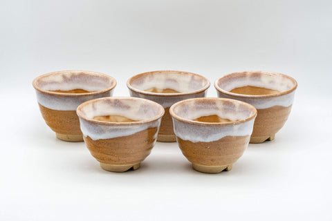Tezumi — Japanese Tea Set - 萩殿窯 Hagi-yaki Houhin-style Do-ake Kyusu with 5 Senchawan - 450ml — the teapot and cups arranged together