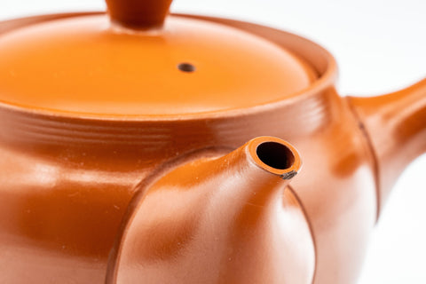 Japanese Kyusu - 富仙窯 Fusen Kiln Calligraphy Tokoname-yaki Teapot - 250ml