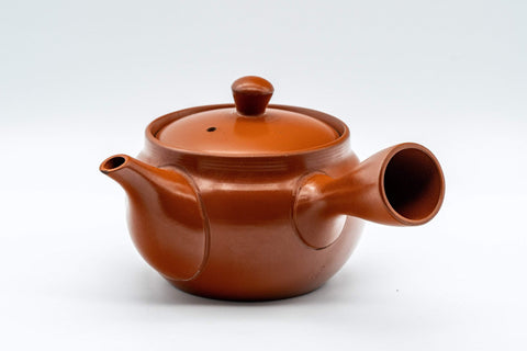 Japanese Kyusu - 富仙窯 Fusen Kiln Calligraphy Tokoname-yaki Teapot - 250ml