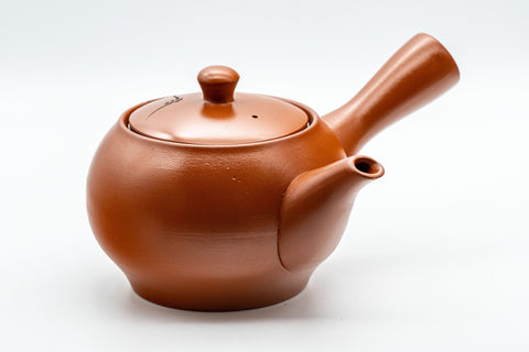 Japanese Kyusu - Mountainous Tokoname-yaki Teapot - 350ml - Tezumi