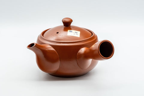 Tezumi — Japanese Kyusu - Plum Blossoms Tokoname-yaki Teapot - 350ml — side view showing the spout
