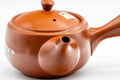Tezumi — Japanese Kyusu - Plum Blossoms Tokoname-yaki Teapot - 350ml — closeup of the painted decoration