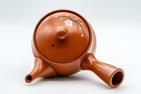 Japanese Kyusu - 義仙 Gisen Morishita Calligraphy Ume Tokoname-yaki Teapot - 300ml