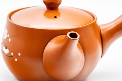 Japanese Kyusu - 義仙 Gisen Morishita Calligraphy Ume Tokoname-yaki Teapot - 300ml
