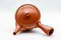 Tezumi — Japanese Kyusu - Floral Tokoname-yaki Teapot - 325ml — top-down view of the lid and side handle