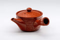 Japanese Kyusu - Tokoname-yaki Teapot with Mesh Filter - 200ml - view focused on the side handle