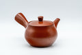 Tezumi — Japanese Kyusu - Nasu-gata Tokoname-yaki Teapot - 200ml — side view showing the spout