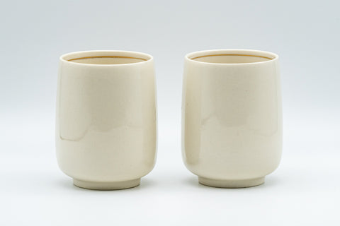 Japanese Tea Set - 木仙 Plum Blossom Arita-yaki Dobin with Two Cups - Tezumi