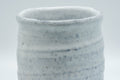 Japanese Teacups - Pair of Shino Glazed Stoneware Tsutsu-gata Meoto Yunomi - front view of one shino-glazed cup