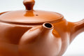 Tezumi — Japanese Kyusu - Tokoname-yaki Teapot with Fine Mesh Strainer - 330ml — interior view showing the fine mesh strainer