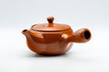 Tezumi — Japanese Kyusu - Tokoname-yaki Teapot with Fine Mesh Strainer - 330ml — side view with the lid and side handle