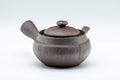 Tezumi — Kanji-engraved Banko-yaki kyusu teapot, side view with the spout to the left