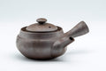 Tezumi — Kanji-engraved Banko-yaki kyusu teapot, view from the side handle