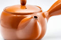 Tezumi — Japanese Kyusu - Floral Tokoname-yaki Teapot - 350ml — closeup of the painted decoration