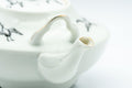 Japanese Kyusu - White Crane and Tortoise Do-ake Tea and Sake Pot - 300ml - Tezumi