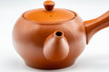 Japanese Kyusu - Mountainous Tokoname-yaki Teapot - 350ml - Tezumi