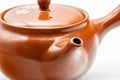 Japanese Kyusu - 宗山窯 Sakura Tokoname-yaki Obi-ami Teapot - 330ml - side profile showing the spout and handle