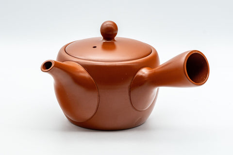 Tezumi — Japanese Kyusu - Floral Tokoname-yaki Teapot - 325ml — side view showing the spout