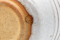 Japanese Teacup - White Drip-Glazed Hagi-yaki Yunomi - 175ml - closeup of the underside showing the unglazed clay foot