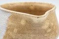 Tezumi — Japanese Katakuchi - Crackle Glazed Hagi-Yaki Water Cooler - 150ml — closeup of the glaze