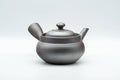 Tezumi — Japanese Kyusu - Classic Banko-yaki Teapot - 220ml — side view showing the spout