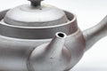 Tezumi — Japanese Kyusu - Classic Banko-yaki Teapot - 220ml — closeup of the decoration