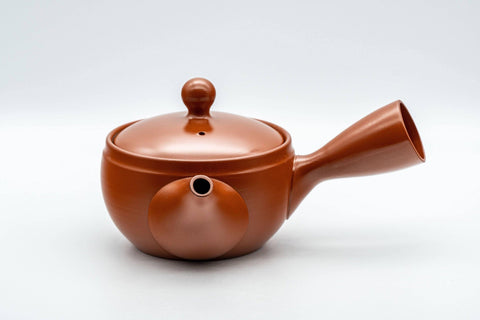 Japanese Kyusu - Tokoname-yaki 270 Degree Filter Teapot - 300ml - Tezumi
