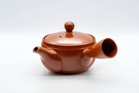Japanese Kyusu - Tokoname-yaki 270 Degree Filter Teapot - 300ml - Tezumi