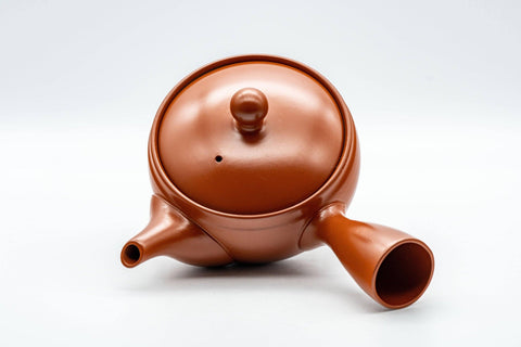 Japanese Kyusu - Tokoname-yaki 270 Degree Filter Teapot - 300ml - Tezumi