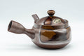 Japanese Kyusu - 昇龍窯 Shoryu Kiln Banko-yaki Teapot - 300ml - Tezumi
