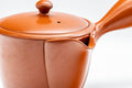 Japanese Kyusu - Houhin-style Tokoname-yaki Teapot - 325ml - Tezumi