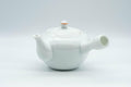 Japanese Kyusu - Persimmon Porcelain Arita-yaki Debeso Teapot  - 300ml - Tezumi