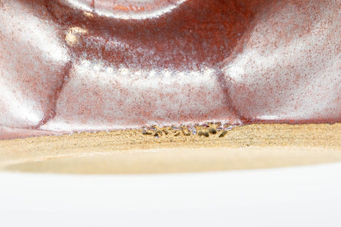 Japanese Tea Set - Drip-Glazed Debeso Kyusu Teapot and Yunomi Teacup