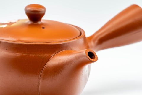 Japanese Kyusu - 常滑焼 Tokoname-yaki Basket Strainer Teapot - 300ml