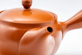 Tezumi — Japanese Kyusu - Classic Tokoname-yaki Teapot - 325ml — side profile showing the spout and handle